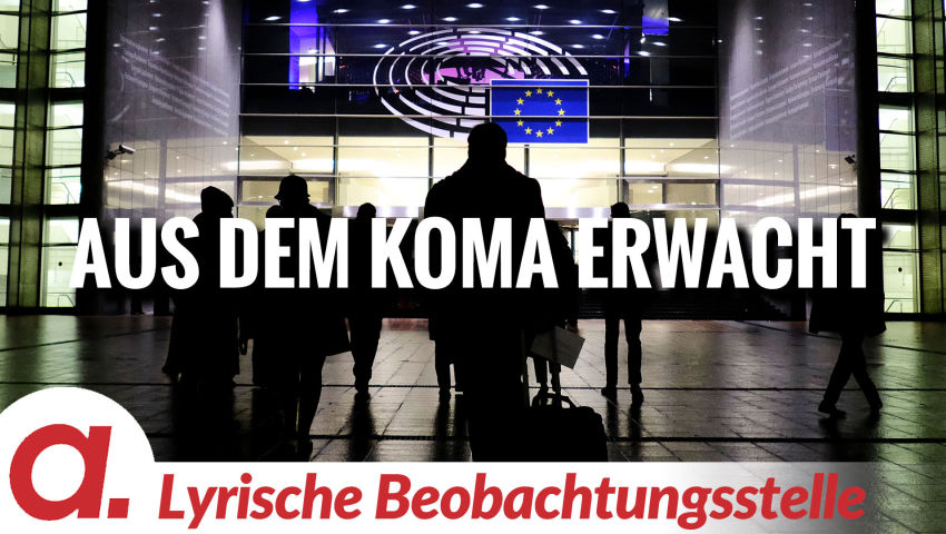 Aus dem Koma erwacht | Von Anna Zollner