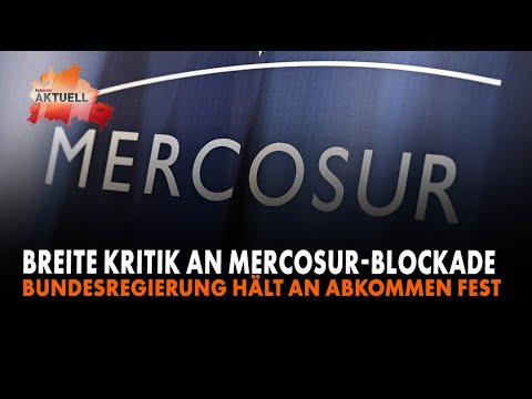Breite Kritik an Mercosur-Blockade – Bundesregierung hält an Abkommen fest