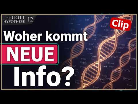 Das Informationsproblem, das Physiker nicht lösen können.