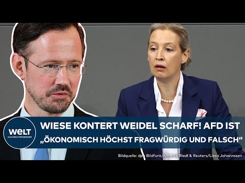 DEUTSCHLAND: Wiese kontert Weidel scharf! AfD ist „ökonomisch höchst fragwürdig und falsch“