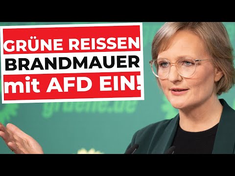 Grüne + AfD stoppen Mercosur – und DU zahlst’s!