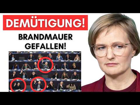 GRÜNE LÜGEN ENTHÜLLT! 😱 Brandmauer-Video explodiert! GRÜNE LÜGEN ENTHÜLLT! 😱 Brandmauer-Video explodiert!