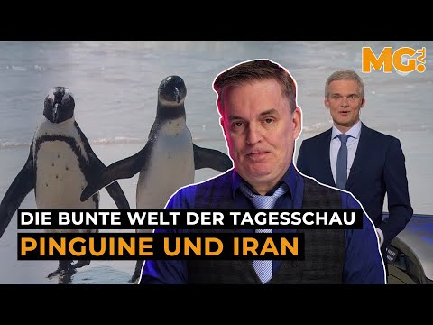 Iran, Grönland: Die Welt steht Kopf – aber die TAGESSCHAU berichtet über Pinguine