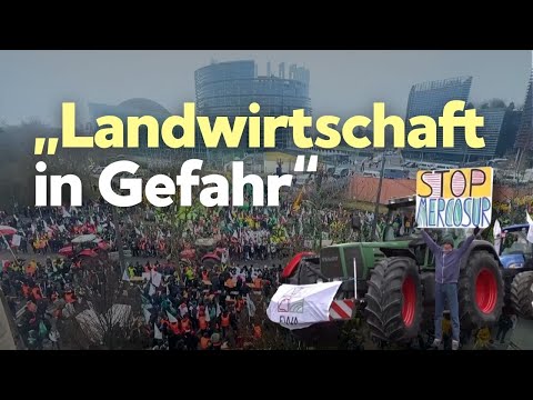 „Landwirtschaft in Gefahr“: Proteste in Brüssel vor EU-Abstimmung zu Mercosurabkommen