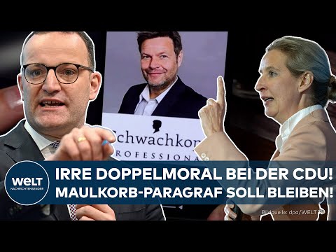 NACH AFD-ANTRAG: Irre Doppelmoral bei der CDU! – Sonder-Schutzschirm für Politiker soll bleiben!