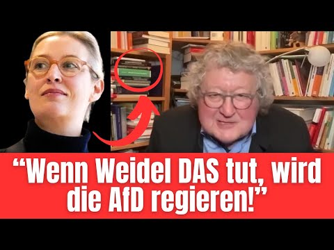 Politikwissenschaftler mit unfassbarer AfD-Prognose für 2026 – wird der ÖRR das Video löschen? 😮