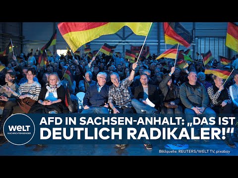 SACHSEN-ANHALT: „AfD will regieren – hat aber null Ahnung, wie das geht“ | Wahlprogramm radikal SACHSEN-ANHALT: „AfD will regieren – hat aber null Ahnung, wie das geht“ | Wahlprogramm radikal