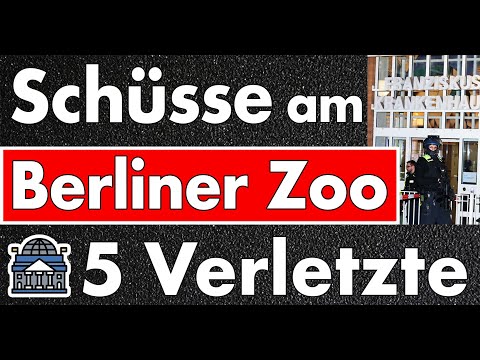 Schüsse am Berliner Zoo! Polizei spricht von Streit mit Schussabgabe? Die Sprache ist ein Problem!