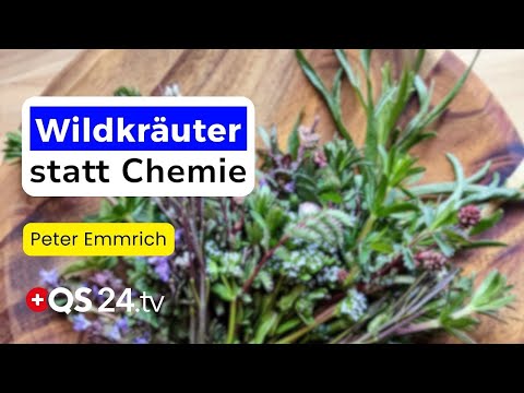 Wildkräuter statt Chemie: 20 Tinkturen, die über 300 Symptome lindern können | Naturmedizin | QS24