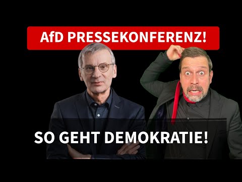AfD PRESSEKONFERENZ AfD PRESSEKONFERENZ