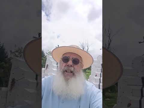 „Alfonso`s endloser Tod“. Das ultimative Opfer der Liebe, ist sich selbst bedingunslos zu geben. „Alfonso`s endloser Tod“. Das ultimative Opfer der Liebe, ist sich selbst bedingunslos zu geben.