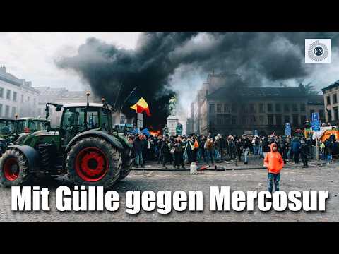 Andreas Popp: MIT GÜLLE UND KARTOFFELN GEGEN BRÜSSELS ELITE Andreas Popp: MIT GÜLLE UND KARTOFFELN GEGEN BRÜSSELS ELITE