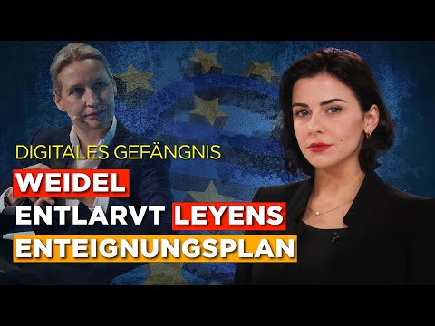 Bargeld, Privatsphäre, Eigentum: Wie der digitale Euro Freiheit und Bargeld bedroht Bargeld, Privatsphäre, Eigentum: Wie der digitale Euro Freiheit und Bargeld bedroht