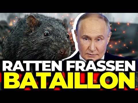 BIOMASSE-SÄTTIGUNG: Leichen als Brustwehr, 40% nervliche Erschöpfung – Halluzinationen massenhaft! BIOMASSE-SÄTTIGUNG: Leichen als Brustwehr, 40% nervliche Erschöpfung – Halluzinationen massenhaft!