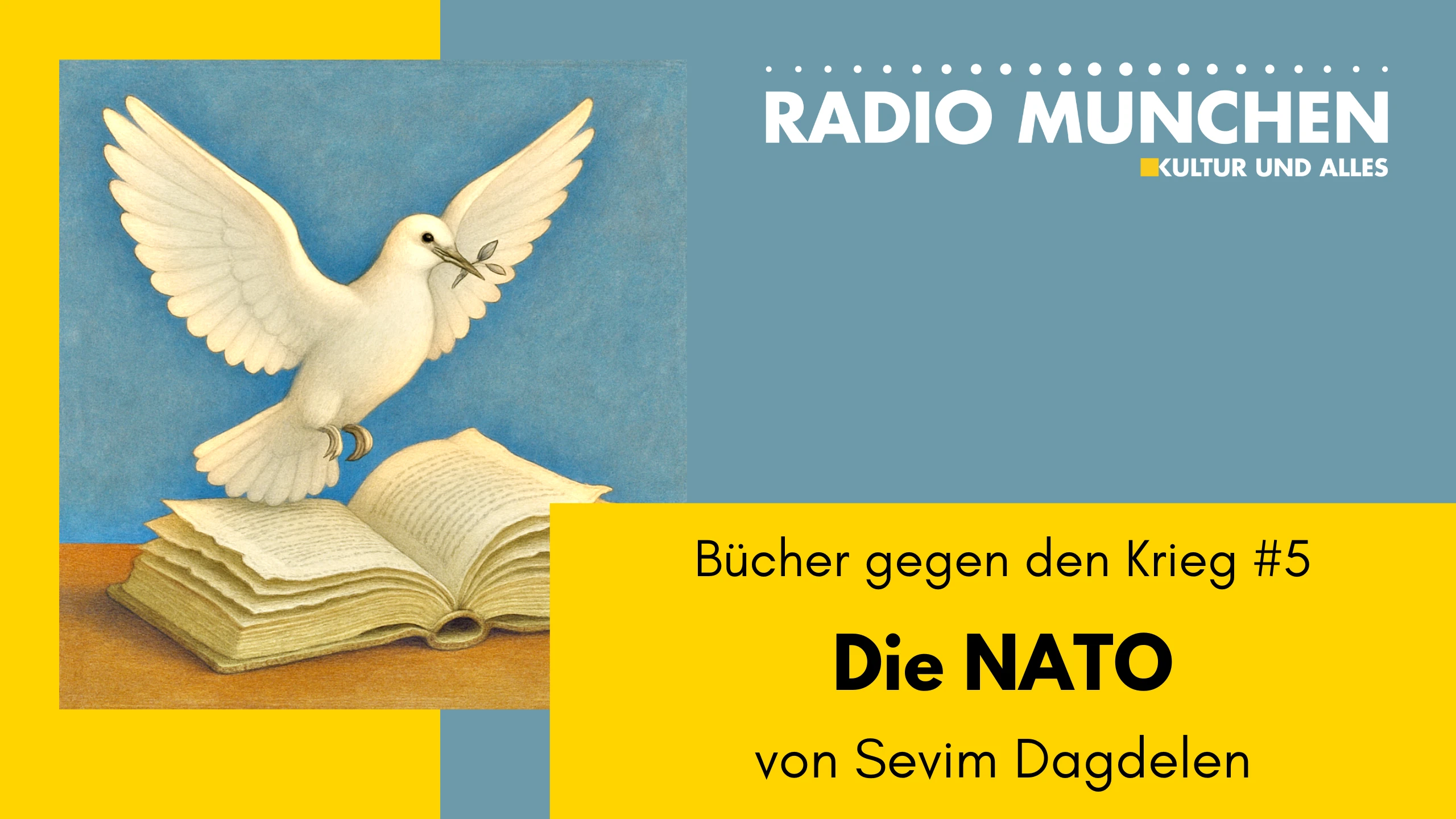 Bücher gegen den Krieg #5_ „Die NATO“ – von Sevim Dagdelen Bücher gegen den Krieg #5_ „Die NATO“ – von Sevim Dagdelen
