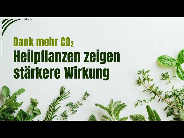 Dank mehr CO₂: Heilpflanzen zeigen mehr Wirkung| www.kla.tv/39446