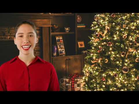 Die Redaktion von russland.TV und russland.NEWS wünscht frohe Weihnachten Die Redaktion von russland.TV und russland.NEWS wünscht frohe Weihnachten