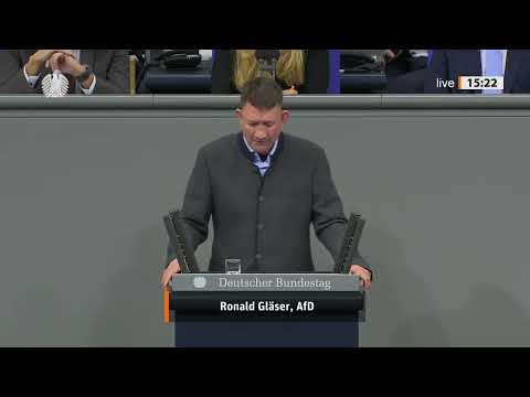 🇩🇪 DEUTSCHLAND GEHT DEN BACH RUNTER! – 2026 UNSER LETZTES JAHR? AFD