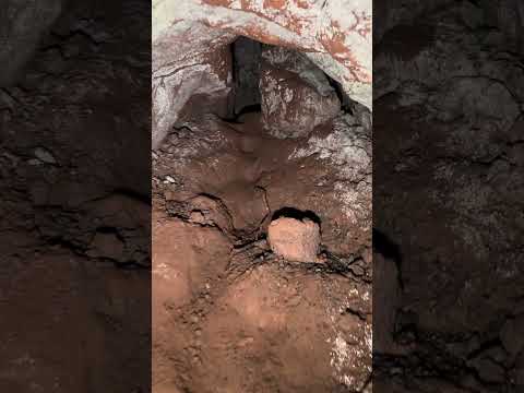 Isla del Coco😍 auf der berühmten Pirateninsel. Isla del Coco😍 auf der berühmten Pirateninsel.