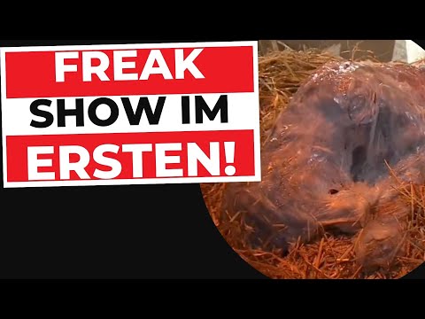 KIRCHE und ARD mit neuem TIEFPUNKT… KIRCHE und ARD mit neuem TIEFPUNKT…