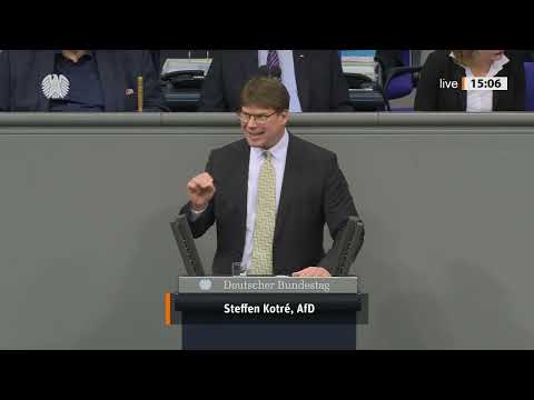 KONTRÉ GEGEN DIE AfD! 💥 EU-„Friedensvorstellungen“ FREMD – WESTEN VOR DEN KOPF GESTOSSEN