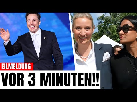 Musk äußert sich über AfD und Freiheit in Europa!  CDU IN PANIK