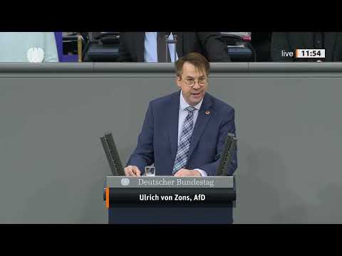 NEBEN DER TOPFPFLANZE VERLOREN! 💥 Zons (AfD) spottet über Merz – EIGENTLICHE ZIELE VERGESSEN