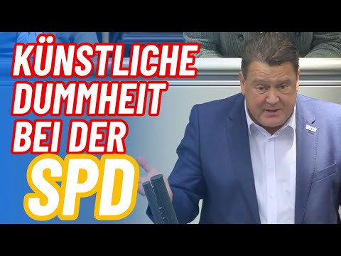 NGO-Sumpf austrocknen! Künstliche Dummheit statt künstlicher Intelligenz bei der SPD! NGO-Sumpf austrocknen! Künstliche Dummheit statt künstlicher Intelligenz bei der SPD!