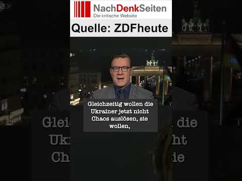 Niko Lange: „Das hat Präsident Selenskyj geschadet“ | NDS Niko Lange: „Das hat Präsident Selenskyj geschadet“ | NDS