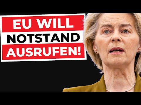 Notstand statt Demokratie: Brüssel dreht durch