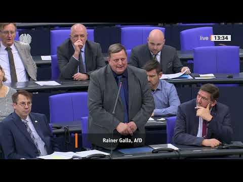 Politisches Donnerwetter – AfD polarisiert Deutschland