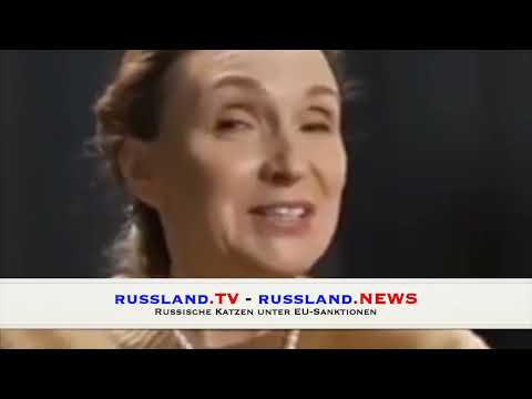 Russische Katzen unter EU-Sanktionen
