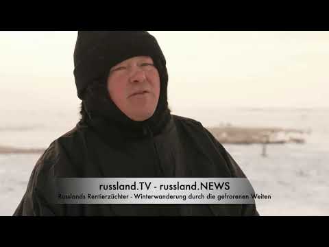 Russlands Rentierzüchter: Winterwanderung durch die gefrorenen Weiten