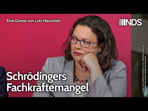 Schrödingers Fachkräftemangel | Lutz Hausstein | NDS-Podcast Schrödingers Fachkräftemangel | Lutz Hausstein | NDS-Podcast