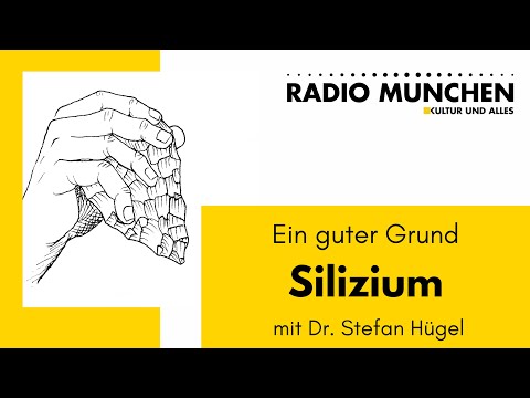 Silizium: Ein guter Grund – mit Dr. Stefan Hügel Silizium: Ein guter Grund – mit Dr. Stefan Hügel