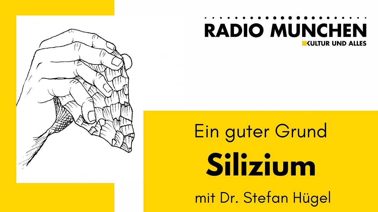 Silizium_ Ein guter Grund – mit Dr. Stefan Hügel