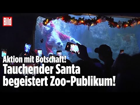 ÜBERRASCHUNG IM ZOO: Tauchender Weihnachtsmann sorgt in Mexiko für Begeisterung!