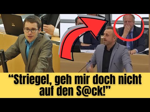 Ulrich Siegmund deckt Grünen-Lüge auf: Präsident ist dem Schwächeanfall nah! Eklat im Landtag 🫨
