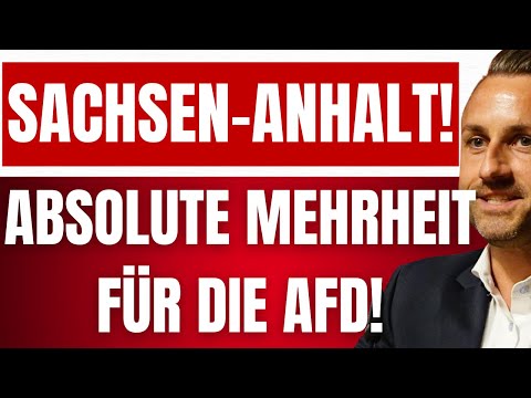 ULRICH SIEGMUND kündigt Regierungsübernahme 2026 in SACHSEN-ANHALT an! – Absolute Mehrheit für AfD!