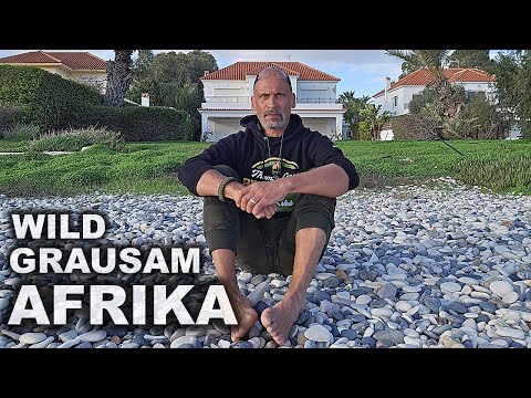 Warum dieses Buch brutal ehrlich ist! Warum dieses Buch brutal ehrlich ist!