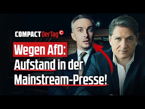Wegen AfD: Aufstand der Mainstream-Presse!💥 Wegen AfD: Aufstand der Mainstream-Presse!💥