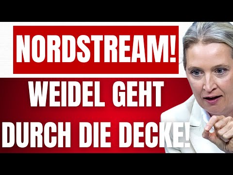 WEIDEL eskaliert wegen NORDSTREAM & UKRAINEKRIEG auf offener Bühne! – Werden gezielt zerstört! WEIDEL eskaliert wegen NORDSTREAM & UKRAINEKRIEG auf offener Bühne! – Werden gezielt zerstört!