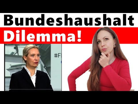 Alice Weidel: „Das muss man sich mal vorstellen!“ Alice Weidel: „Das muss man sich mal vorstellen!“