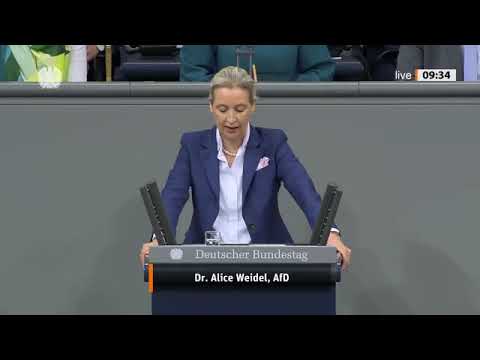 Alice Weidel liest Merz die Leviten! Bundestag bebt nach AfD-Rede ❗