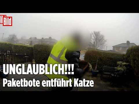 AMAZON-BOTE ENTFÜHRT KATZE: Paketlieferung in England endet mit schockierendem Diebstahl