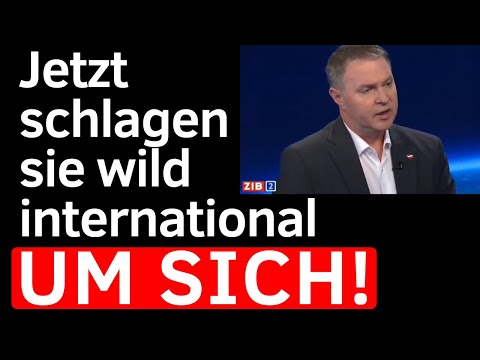 Babler, Van der Bellen und Meinl-Reisinger sorgen für einen Zwischenfall nach dem anderen!