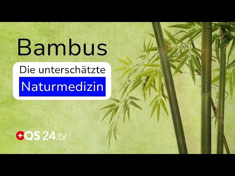 Bambus – der grüne Heiler für Haut, Zähne & Körper | Naturmedizin | QS24 Gesundheitsfernsehen Bambus – der grüne Heiler für Haut, Zähne & Körper | Naturmedizin | QS24 Gesundheitsfernsehen