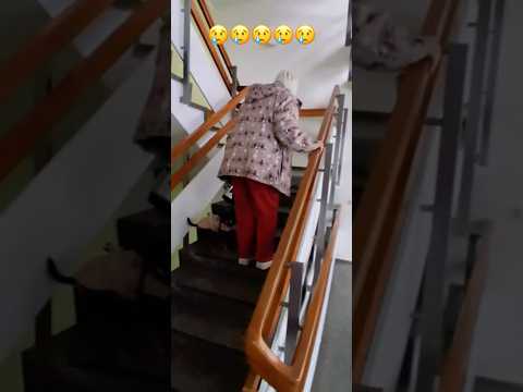 Blackout-Berlin – Solche Notfallsituationen werden sich mit dieser Looser-Regierung wiederholen! Blackout-Berlin – Solche Notfallsituationen werden sich mit dieser Looser-Regierung wiederholen!