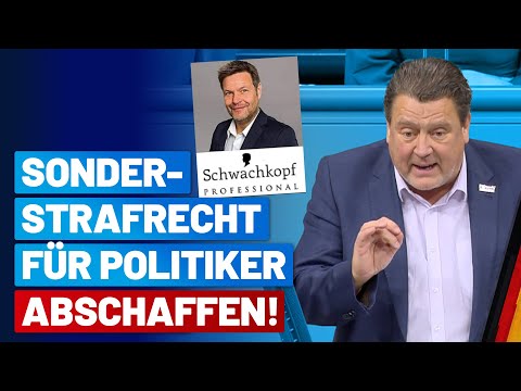 §188 StGB ist einem Rechtsstaat unwürdig!  Stephan Brandner – AfD-Fraktion im Bundestag