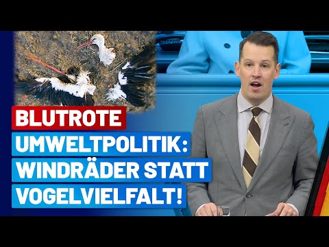 Das ist blutrote Umweltpolitik! – Andreas Bleck – AfD-Fraktion im Bundestag